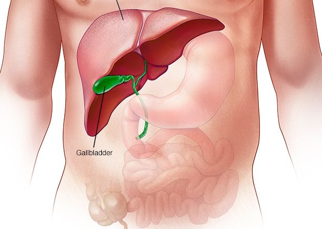 Symptoms of Liver Disease and Why You Should Worry About It